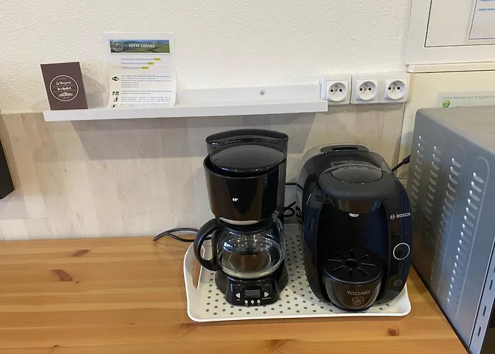 Bellevue Sur Les Hauteurs De Super-besse Besse-et-Saint-Anastaise